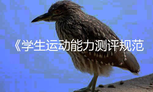 《先糊口动才能测评规范》国度规范若何重塑体育课?