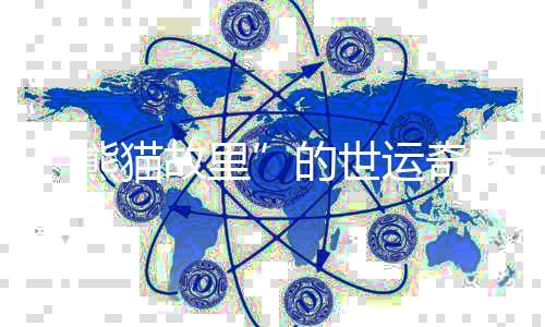 “熊猫故乡”的世运奇缘:像爱大熊猫一样爱中国的统统