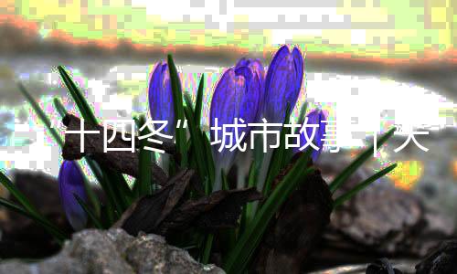 “十四冬”都会故事|每天都有那达慕,这里是陈巴尔虎旗