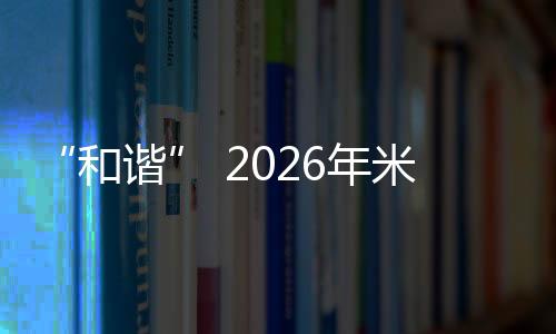 “协调” 2026年米兰