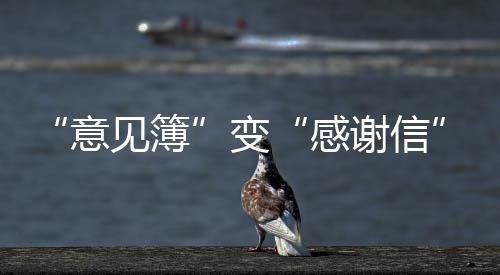 “定见簿”变“感激信” “世运保护者”打动本国队医
