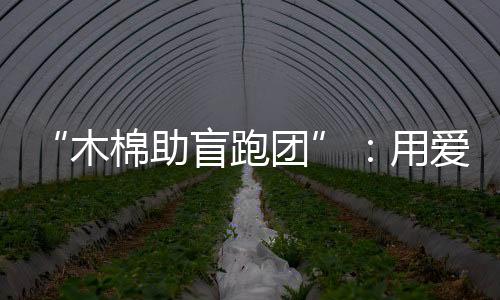 “木棉助盲跑团”:用爱陪视障跑者奔赴汉马赛场