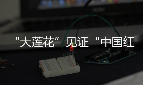 “大莲花”见证“中国红” “丝滑”散场显温度