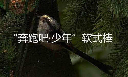 “奔驰吧·少年”软式棒垒球联赛总决赛在鄂尔多斯揭幕