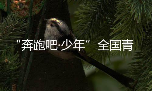 “奔驰吧·少年”天下青少年阳光体育大会在南昌进行