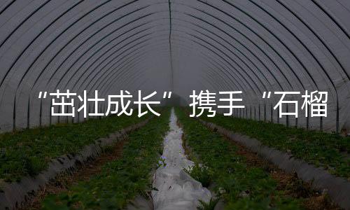 “健壮生长”联袂“石榴籽”一路做公益 上好体育课，讲好通俗话