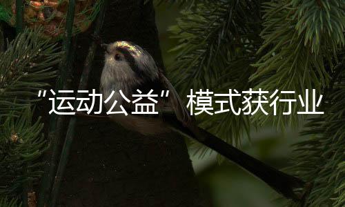 “勾当公益”情势获行业承认,Keep荣获第十三届公益节两大奖项