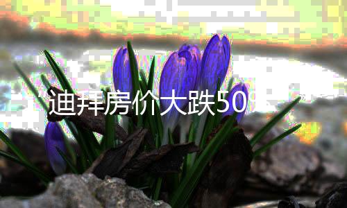 “迪拜房价大跌50%”?不失实!局部中店主属办公室已敏捷赴港,环球投资者的置业逻辑变了?