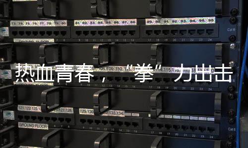 热血芳华,“拳”力反击 江泰天宇工夫集市青少年搏击擂台赛美满闭幕