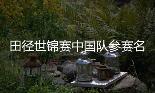田径世锦赛中国队参赛名单宣布 黑龙江活带动钱海峰、郭龙宇当选