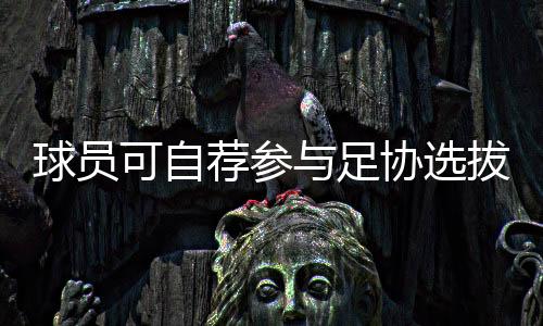 球员可自荐到场足协提拔 中国足协球员自荐体系本日上线