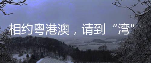 相约粤港澳,请到“湾”里来——写在十五运会揭幕倒计时100天之际