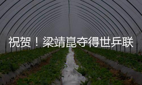 庆祝！梁靖崑夺得世乒联冠军赛韩国站男单冠军