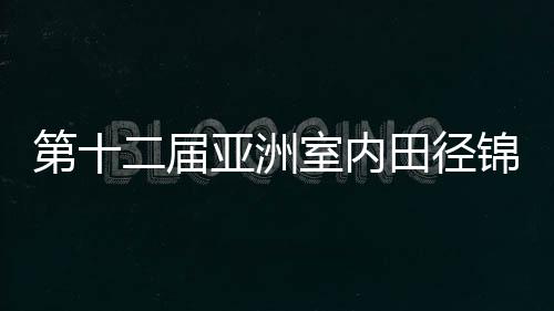 第十二届亚洲室内田径锦标赛收官 中国队10金领跑奖牌榜