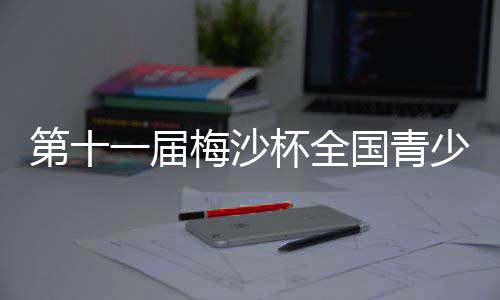 第十一届梅沙杯天下青少年风帆联赛厦门站开赛