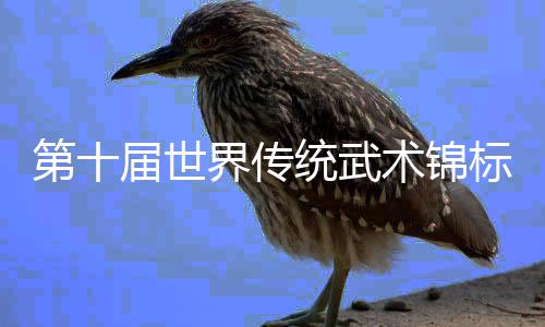 第十届全国传统技击锦标赛在峨嵋山揭幕 李连杰吴京交代抽象大使