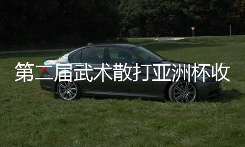第二届技击散打亚洲杯收官：中国队夺9金2银居榜首