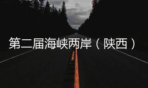 第二届海峡两岸(陕西)青少年足球交换赛榆林开赛