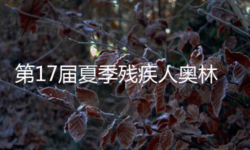第17届夏日残疾人奥林匹克活动会:中国体育代表团多点着花 在多个名目上斩获奖牌