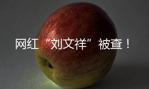 网红“刘文祥”被查!