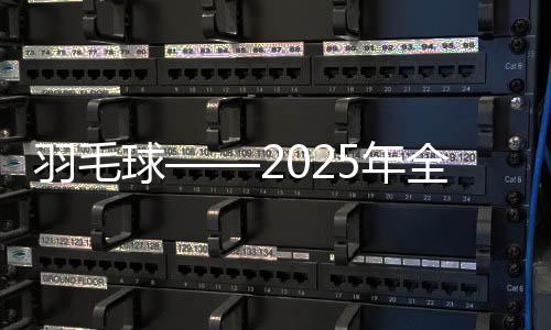 羽毛球——2025年天下青年锦标赛在安徽合肥开赛