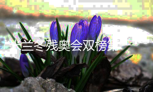 米兰冬残奥会双榜第一 中国残奥冰雪活动誊写新章