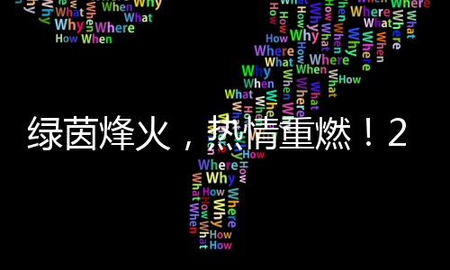 绿茵狼烟,热忱重燃!2024中国收集媒体足球精英赛揭幕
