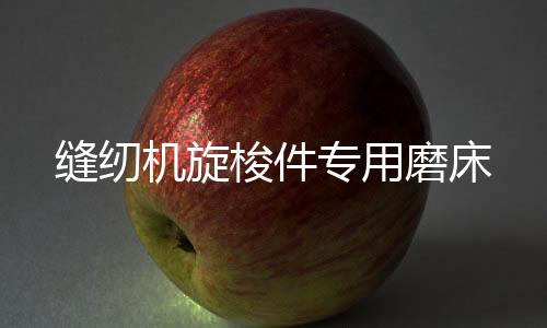 缝纫机旋梭件公用磨床