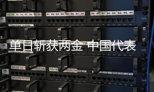 单日斩获两金 中国代表团创冬残奥会境外参赛最好成就