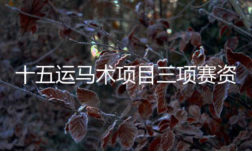 十五运马术名目三项赛资历赛闭幕 陕西队升级决赛