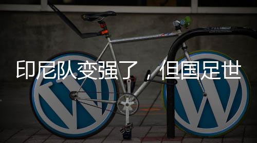 印尼队变强了，但国足世初赛无机遇——专访北京国安荷兰籍外教杰森