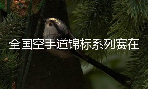 天下白手道锦标系列赛在杭揭幕 亚运冠军表态赛场