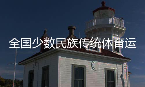 天下多数民族传统体育勾当会全天综合:民族风情浓 赛场交谊深