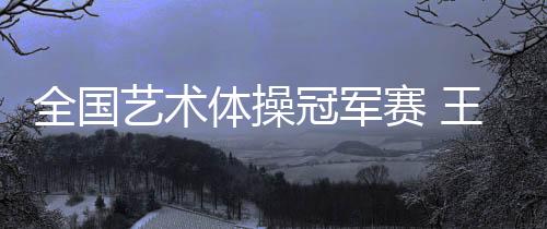 天下艺术体操冠军赛 王子露摘小我万能金牌