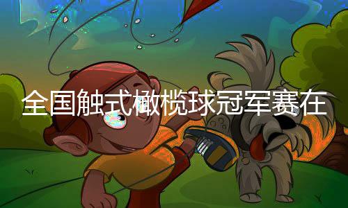 天下触式橄榄球冠军赛在杭闭幕 带动文旅花费升温