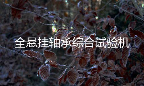 全吊挂轴承综合实验机