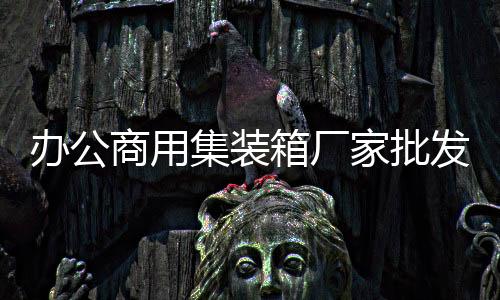国产替换美国索尔维P