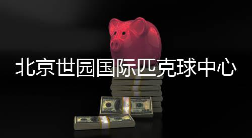北京世园国际匹克球中间建立 助力匹克球文明提高