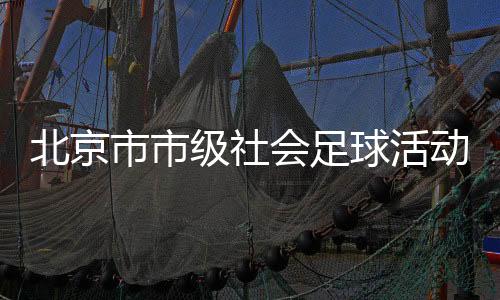 北京市市级社会足球勾当童心圆兴趣足球嘉韶华举行