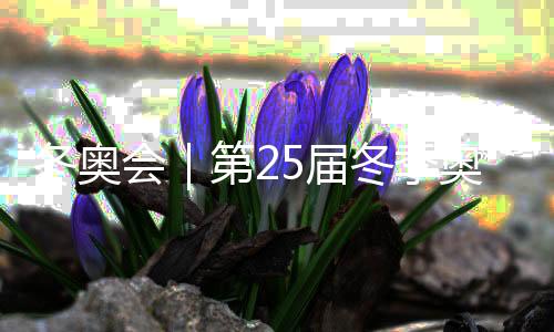 冬奥会|第25届夏季奥林匹克活动会在意大利维罗纳落幕