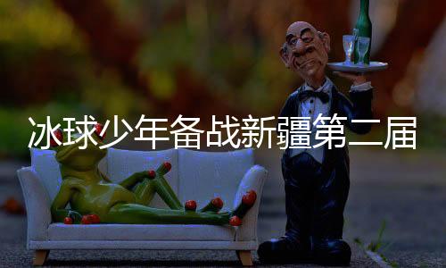 冰球少年备战新疆第二届冬运会 中外媒体代表点赞