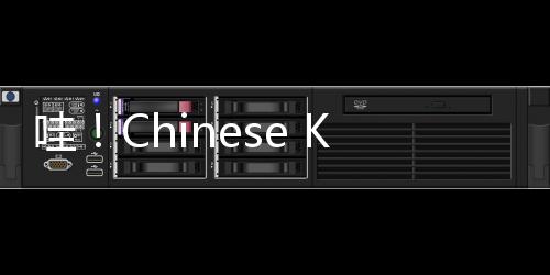 哇!Chinese Kungfu!中国传统体育名目扑灭巴黎陌头
