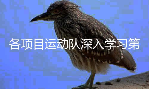 各名目活动队深切进修第三十三届奥运会中国体育代表团报告会