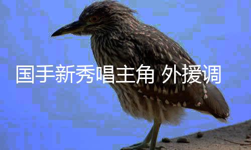 国手新秀唱配角 外助调剂超卓不减——新赛季中国女排超等联赛亮点纷呈