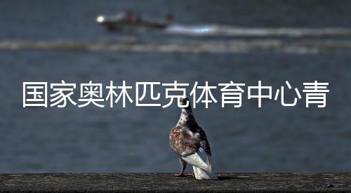国度奥林匹克体育中间青年支教团队来桑植县展开帮扶支教勾当