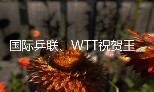 国际乒联、WTT庆祝王励勤被选中国乒协主席 向刘国梁称谢