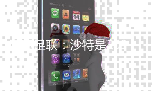 国际足联：沙特是2034年足球天下杯独一申办方