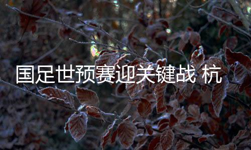 国足世初赛迎关头战 杭州主场格式“宠”球迷