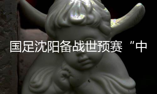 国足沈阳备战世初赛“中泰之战” 伊帅:伤病不是进步路上的“绊脚石”