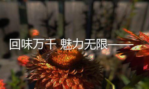 回味万千 魅力无穷——三位匈牙利体育人的成都影象